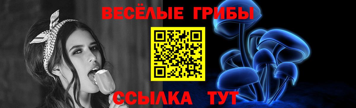 Псилоцибиновые грибы мицелий Протвино